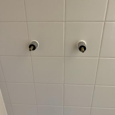 Img 1368