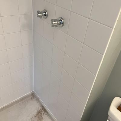 Img 1372